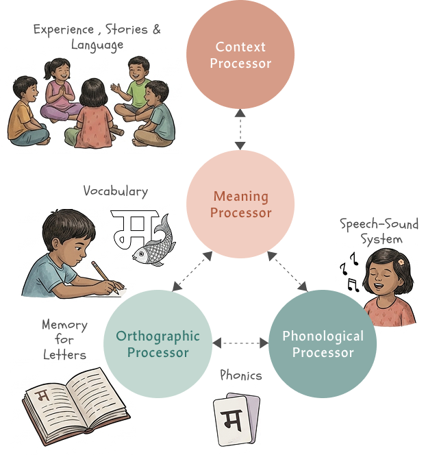 Diagram of four neural processors in the reading process